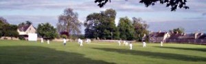 Picture of a Cricket Game